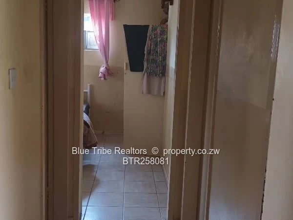 Haig Park Property For Sale 