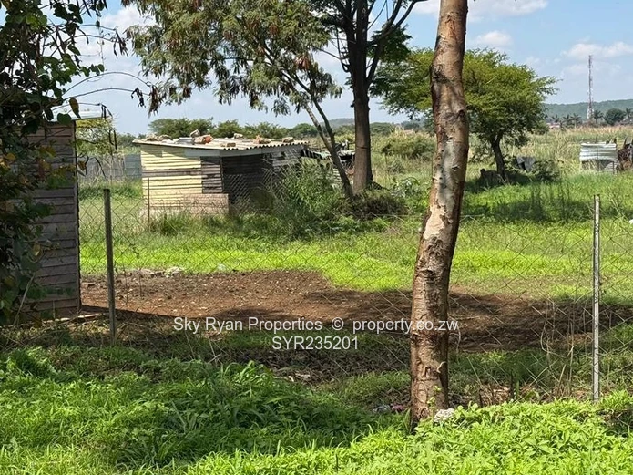 Bluffhill Stand For Sale 