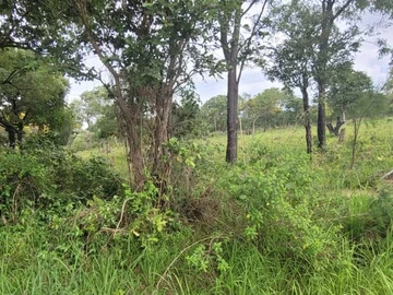 Farm & Agricultural Land