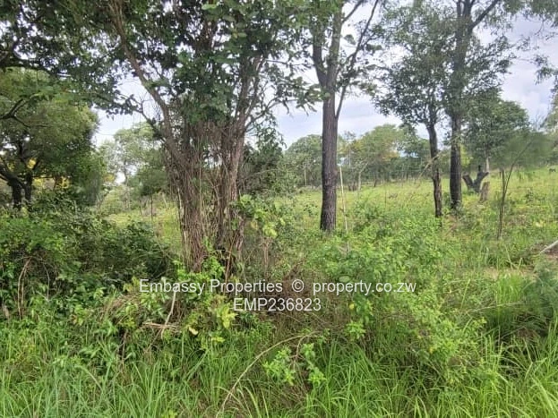 Great investment opportunity