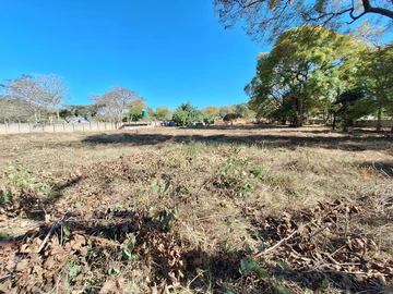 Prime Glen Lorne Stand for sale