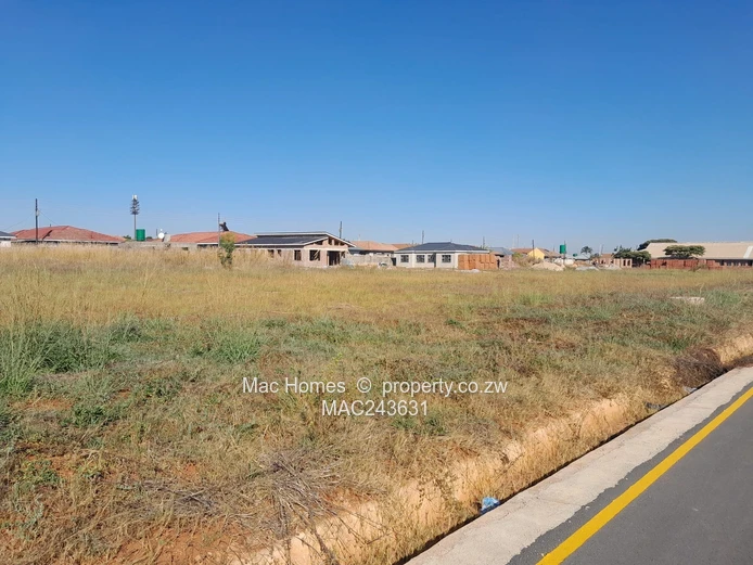 Ready to Build Stand- Modern Development