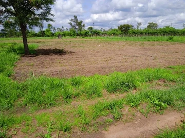 Farm & Agricultural Land