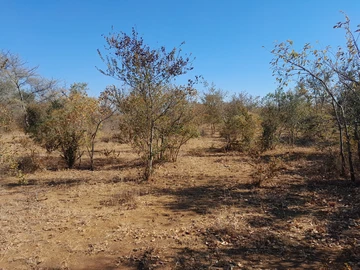 Farm & Agricultural Land