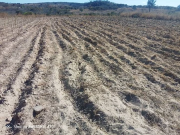 Farm & Agricultural Land