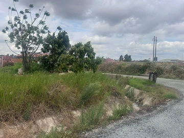 Stands & Residential Land