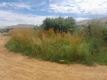 Stands & Residential Land