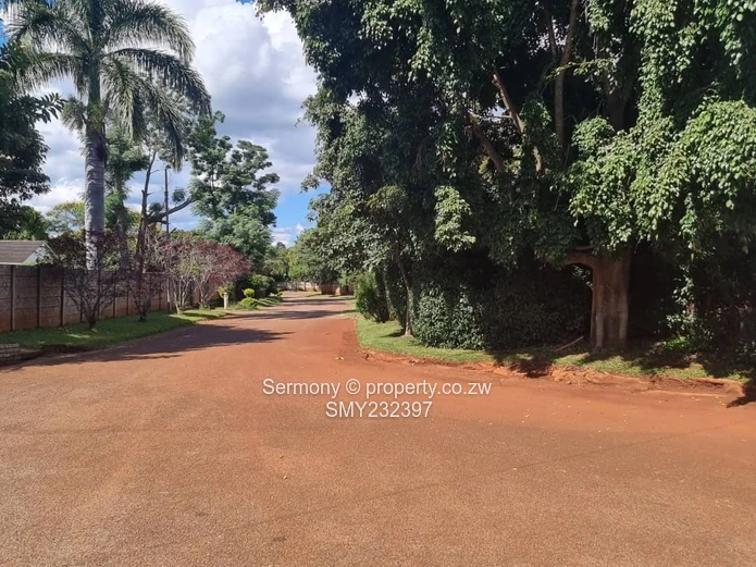 Residential house for rent