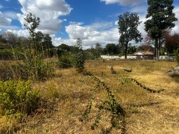 Commercial & Industrial Land