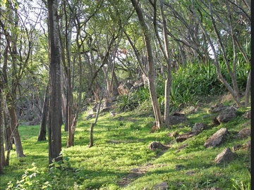 4 Bedroom Townhouse Complex