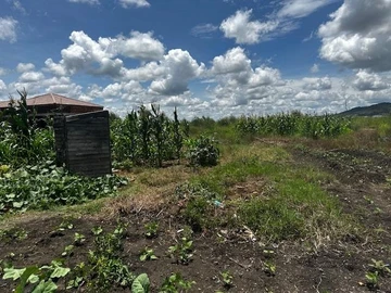 Build Your Dream Home