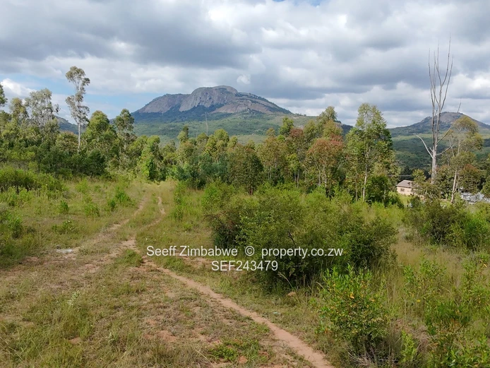 Residential Stand for Sale in Nyanga
