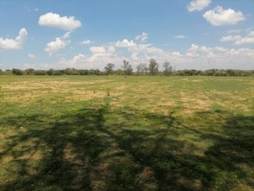 Farm & Agricultural Land