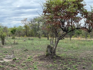 Farm & Agricultural Land