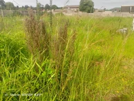 Industrial stand for sale 
