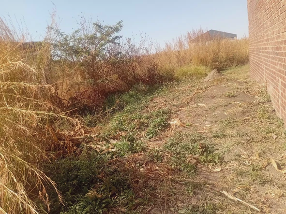 Commercial & Industrial Land