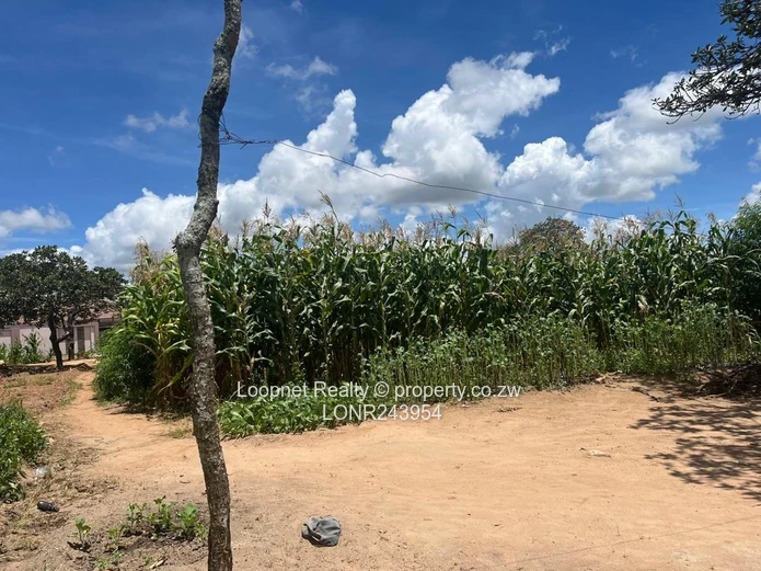 Crowhill Views 1000m² Stand