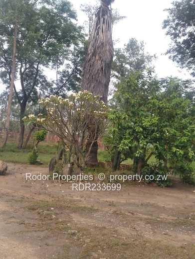 Masvingo low density house