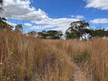 Farm & Agricultural Land