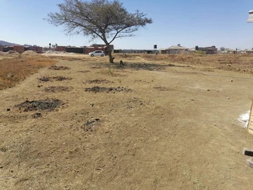 Stands & Residential Land