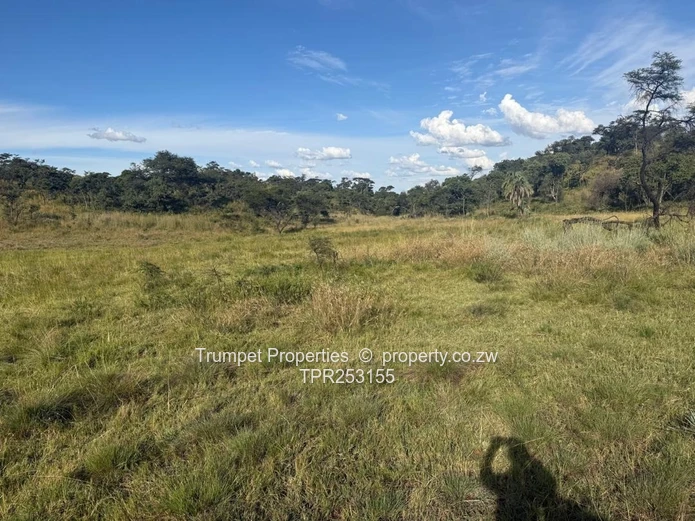 300m² Budiriro Stand — Open Views & Gravel Access