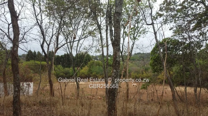 Property ideal for redevelopment on 1.65Ha along Windmill lane, Quinington (Sole Mandate)