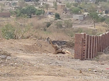 Stands & Residential Land