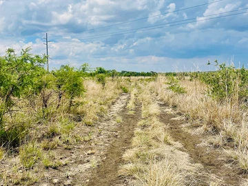 Farm & Agricultural Land
