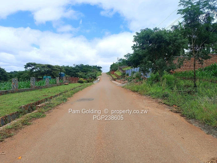 Corner Residential Stand For Sale!