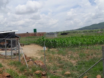 Stands & Residential Land