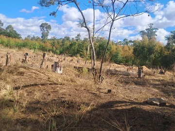 Commercial & Industrial Land