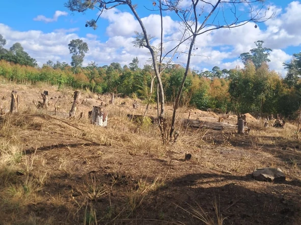Commercial & Industrial Land
