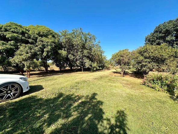 Farm & Agricultural Land