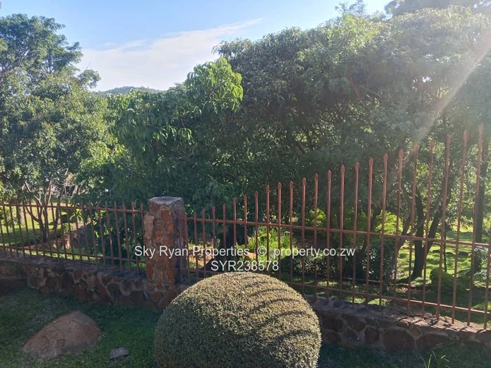 Carrick Creagh Stands  For Sale