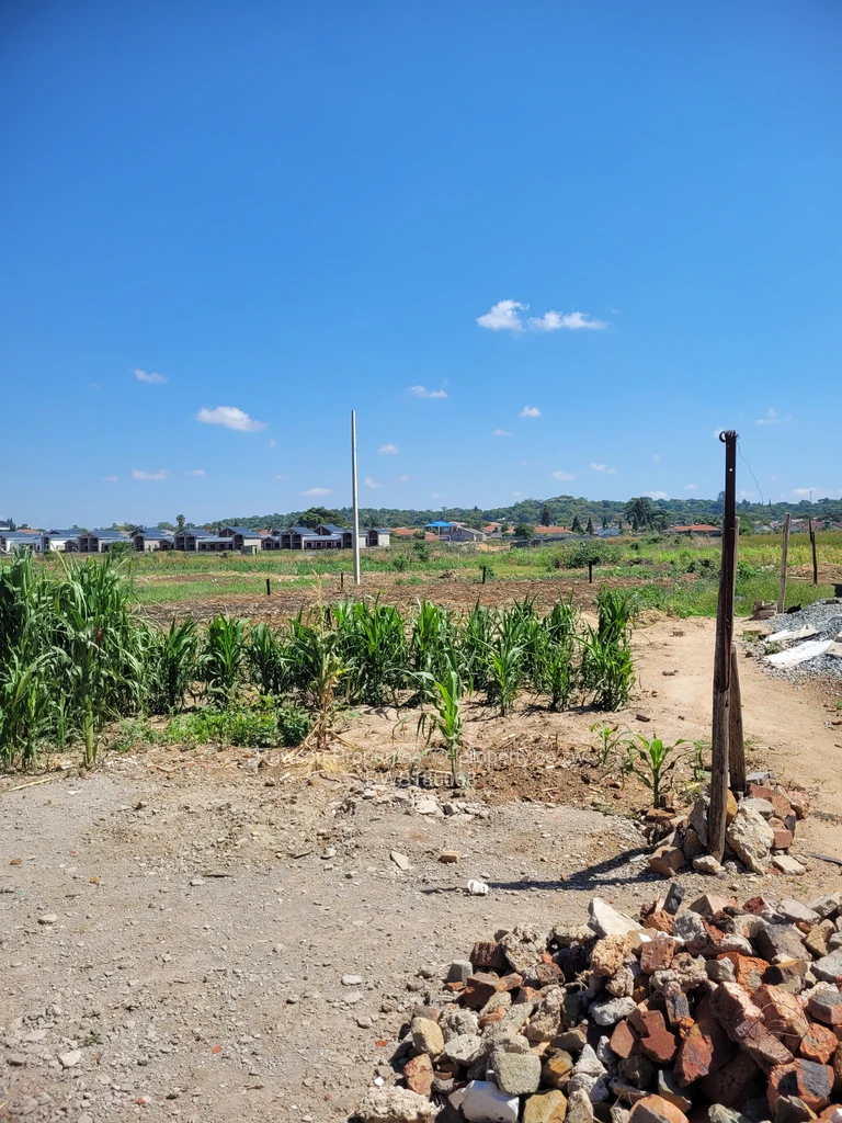Stands & Residential Land for Sale in Madokero Estate, Madokero RWS186068