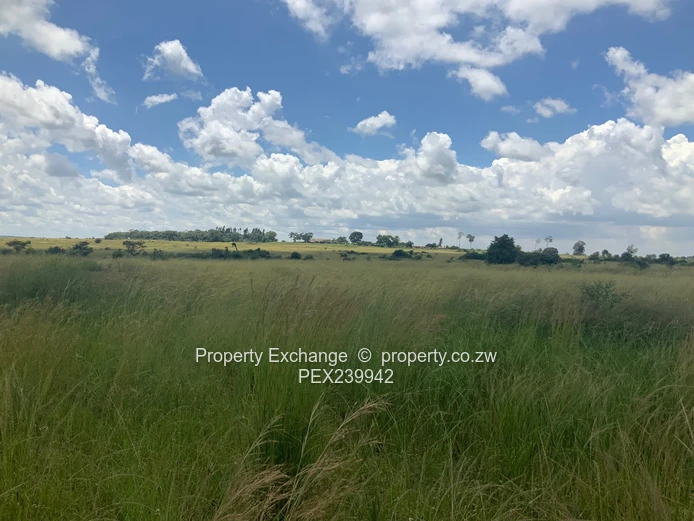 Nyabira, Luna Estates