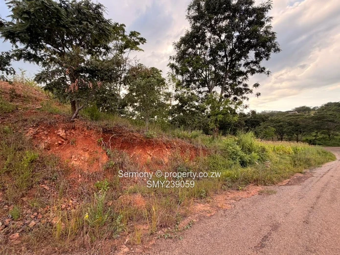 Prime Carrick Creagh Estate Stands For sale