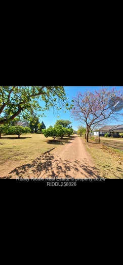 10 000sqm along Greendale Ave for sale