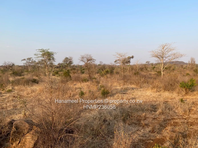 Selous Plot For Sale