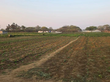 Farm & Agricultural Land