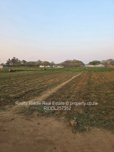 10,000-Acre Irrigated Farm with Greenhouses & Main Road Frontage