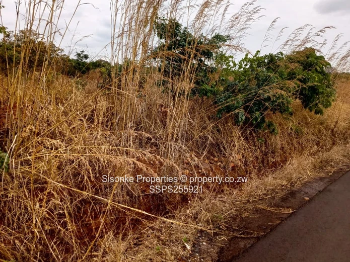 Exclusive Large Residential Stands For Sale – Pomona, Buckland Terraces