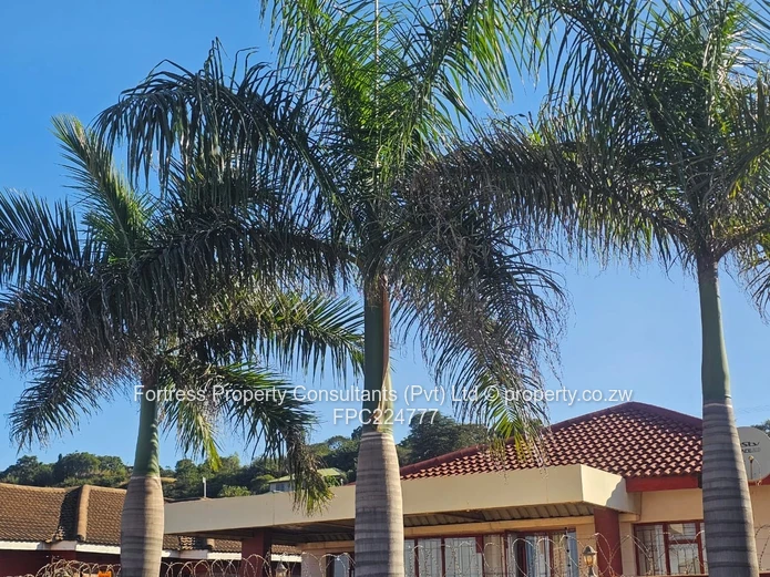 Newly Renovated 4-Bedroom House 