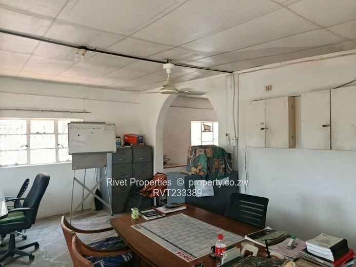 Harbour - Lake Safari