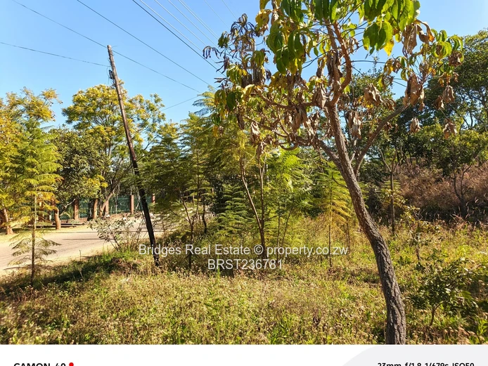 Awesoment investment