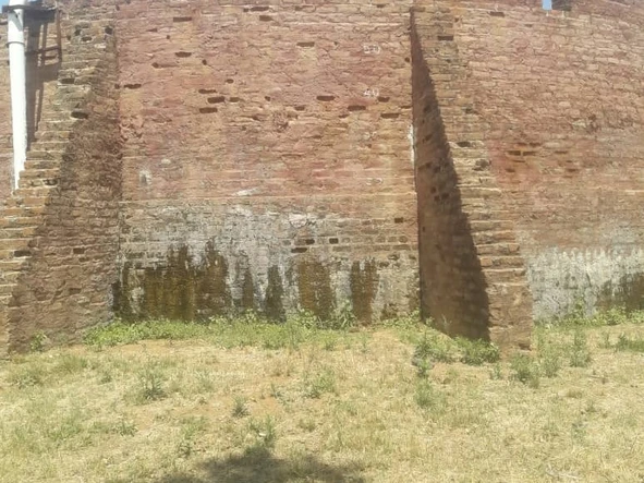 Farm & Agricultural Land