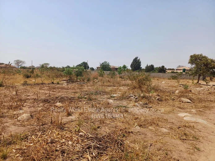 Rydale Ridge Stand For Sale 