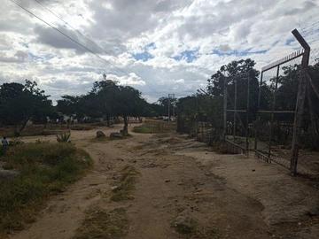 Shop & Retail Property