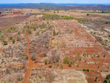 Farm & Agricultural Land