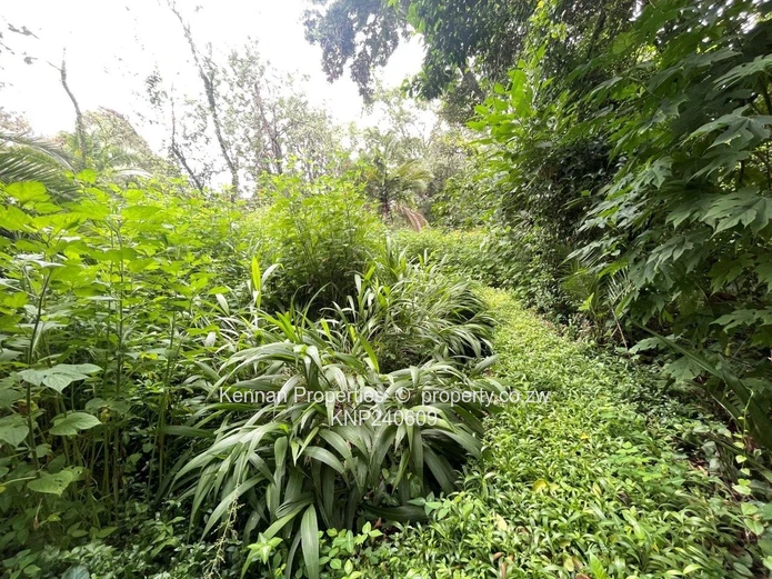 Beautiful Property on 7848 Square metres